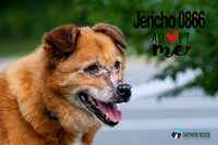 Jericho 0866